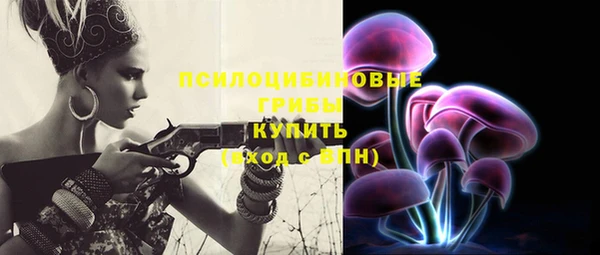 spice Балабаново