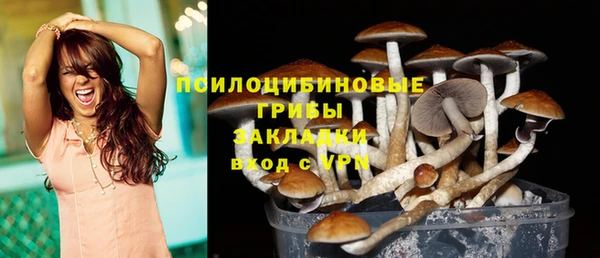 spice Балабаново