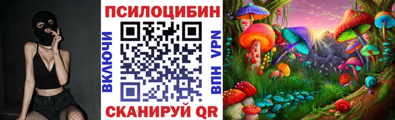 продажа наркотиков  Кропоткин  Галлюциногенные грибы Magic Shrooms 